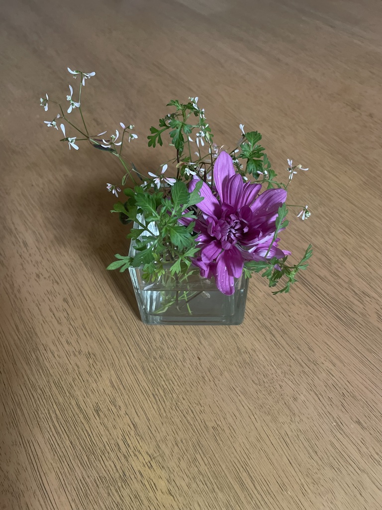 ぐっち